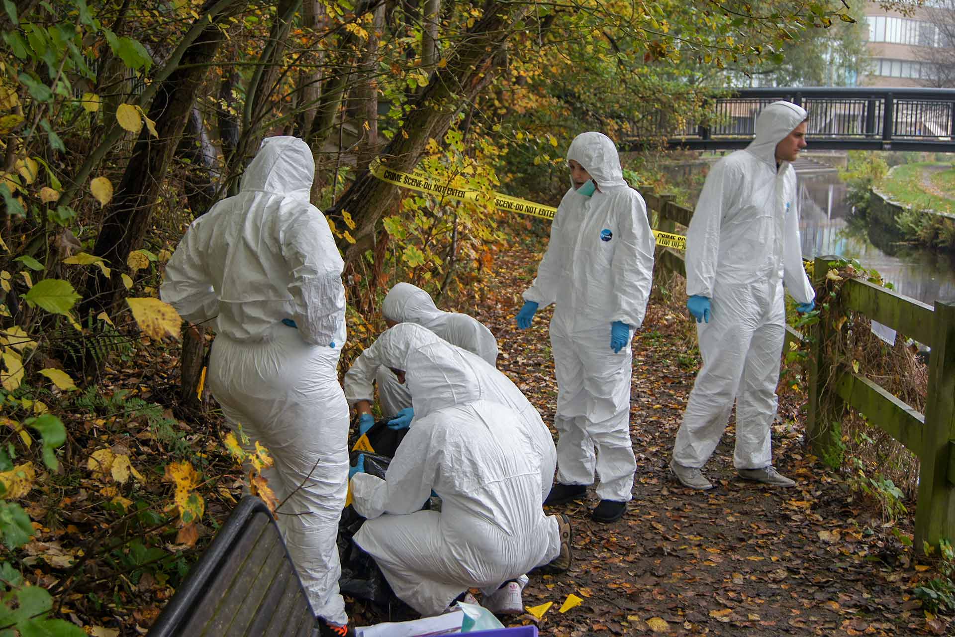 Working the crime scene